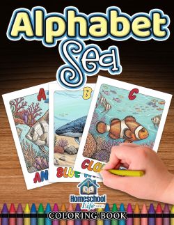 Alphabet Sea: Coloring Book